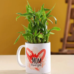 love you mom bamboo plant mug gift for mom