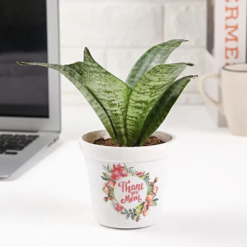 love you mom plant pot green gift planter for mother