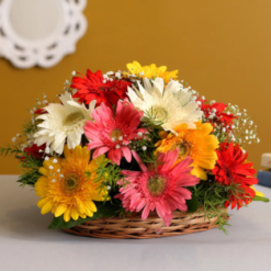 sunshine gerbera bloom basket with fast delivery options