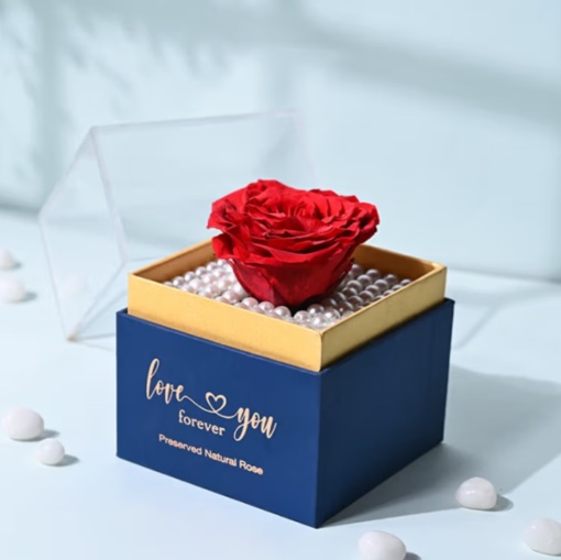 Forever Rose in Bloom – Eternal Preserved Rose Gift