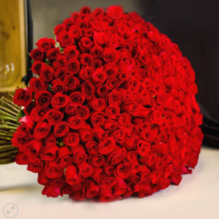 Scarlet red rose bouquet for romantic gifting