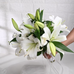 Elegant white rose bouquet for gifting