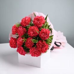 Carnations