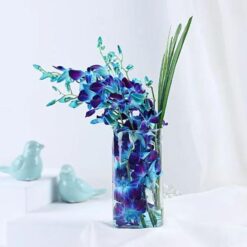 Orchids
