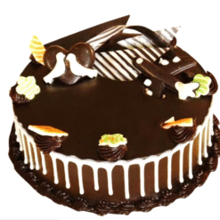 Choco Noir Wonder Cake with rich dark chocolate layers