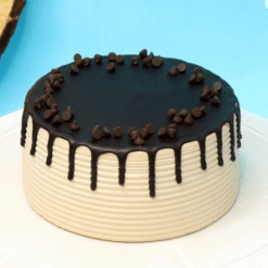 Mystic Cocoa Fantasy Chocolate Cake Online