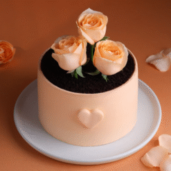 Rosette Choco Elegance romantic chocolate cake online delivery in India