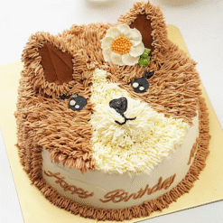 Choco Kitty Celebration Cake