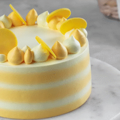 Alternative view of Golden Harmony Butterscotch Bento Cake