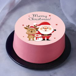 Jolly Santa Friends Christmas Bento Cake