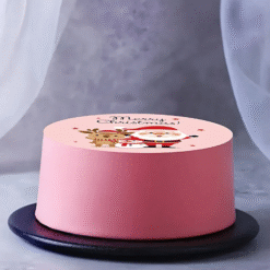 Alternative view of Jolly Santa Friends Bento Cake