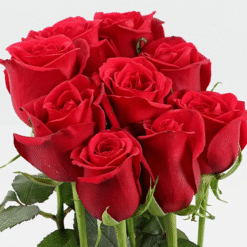 Alternative view of Velvet Romance Cake & Roses Gift Combo